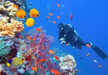 Who Should Visit the Great Barrier Reef?